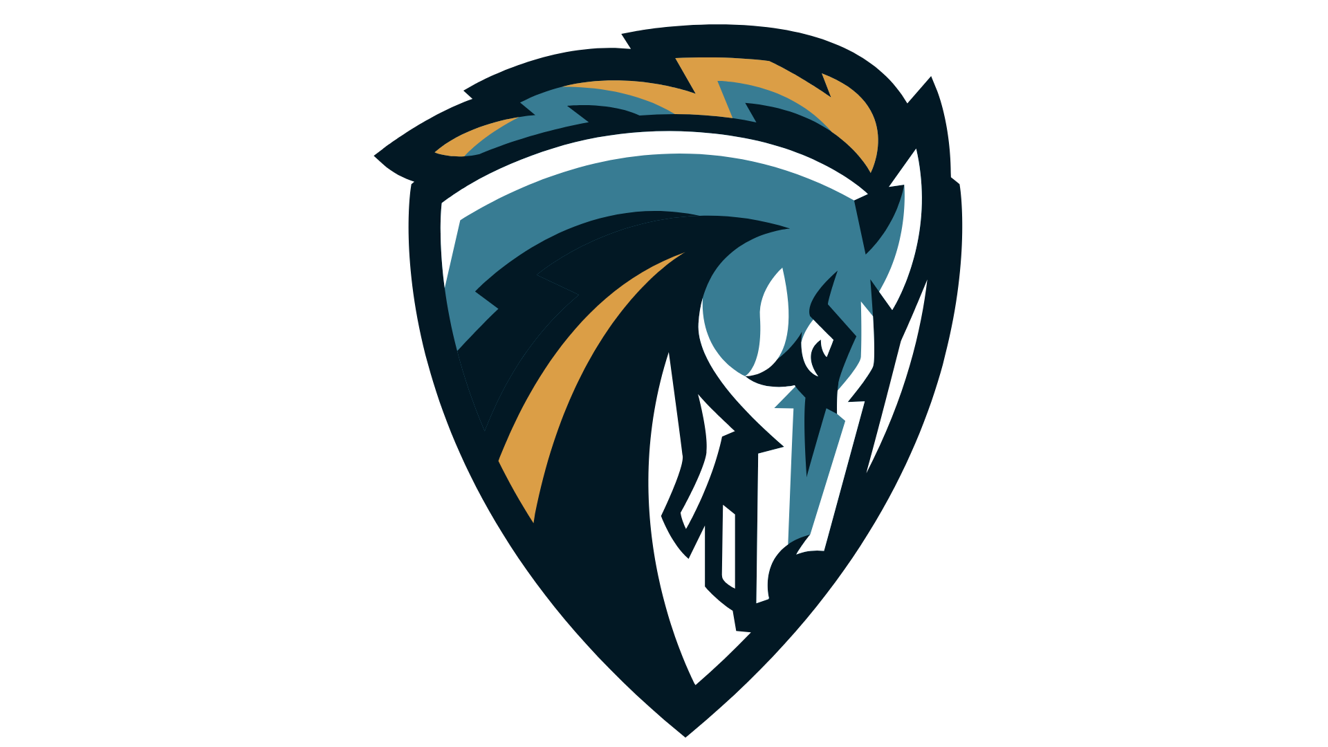 Place Holder Alt Text